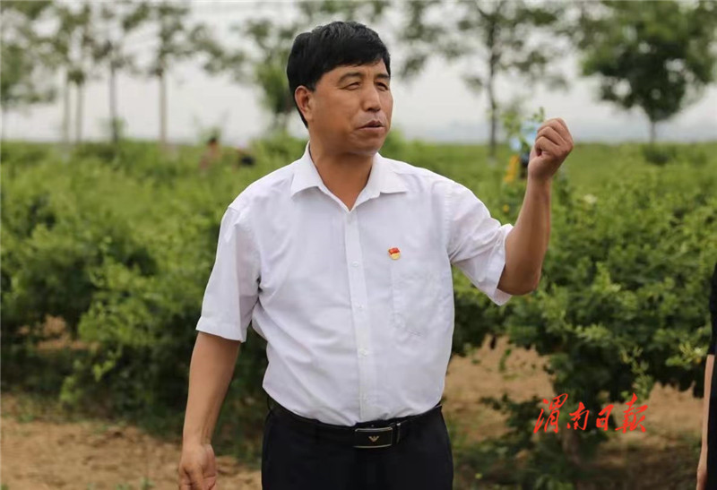 奋斗百年路启航开新局,奋斗百年路启航新征程主要内容