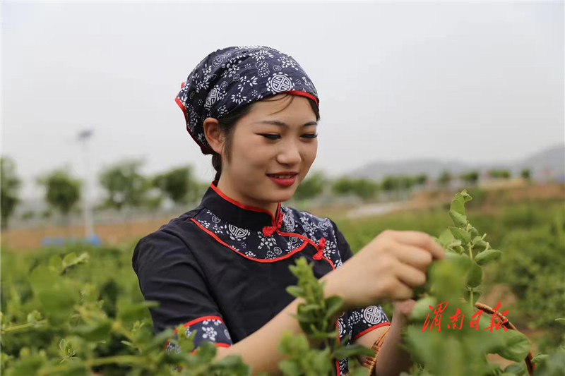 奋斗百年路启航开新局,奋斗百年路启航新征程主要内容