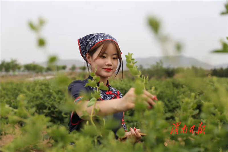 奋斗百年路启航开新局,奋斗百年路启航新征程主要内容