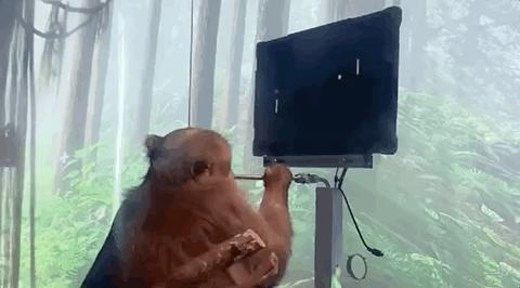 截瘫患者「意念打字」登Nature封面:速度接近常人敲键盘,准确率99.2%