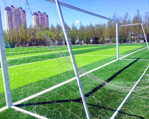 齐齐哈尔足球场用草坪,齐齐哈尔足球训练