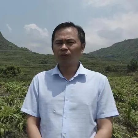 华春莹点赞！荔波白芨火到国外，快进来看看