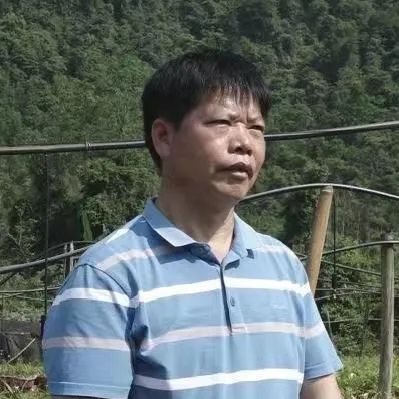 华春莹点赞！荔波白芨火到国外，快进来看看