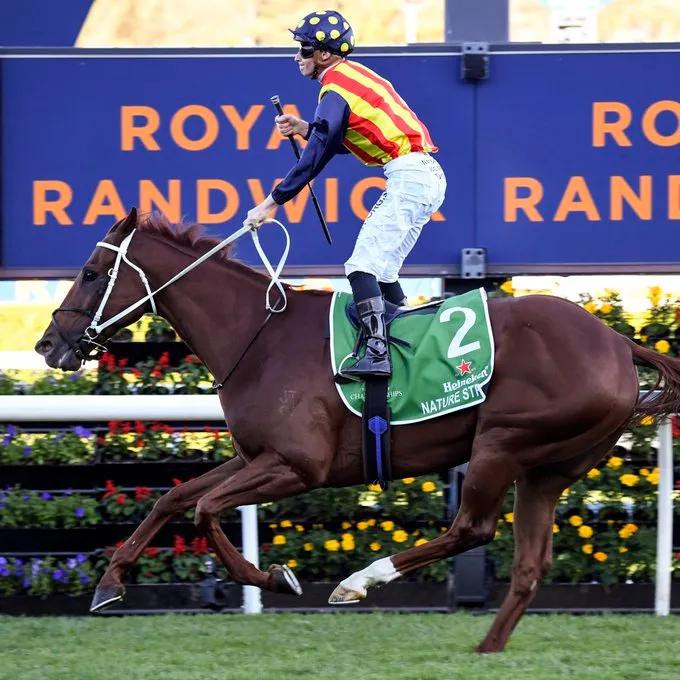 中国马匹排名,世界上马匹排名