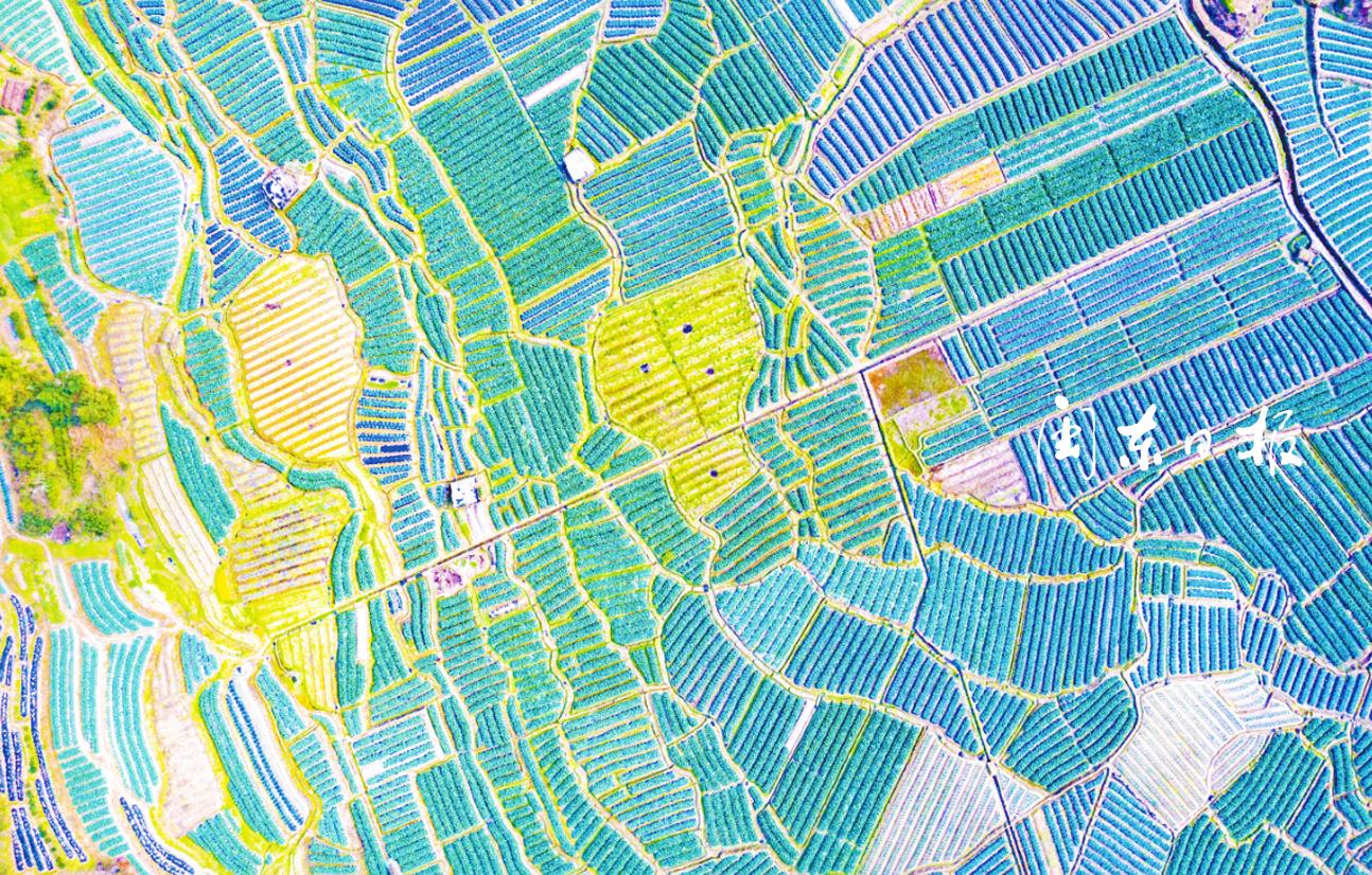 文旅融合带动区域经济发展,文旅融合发展视频