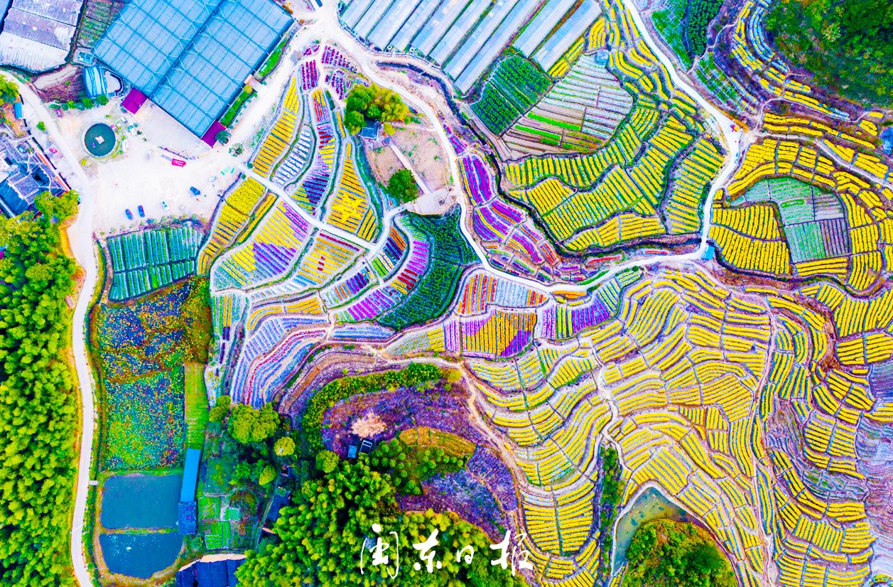 文旅融合带动区域经济发展,文旅融合发展视频