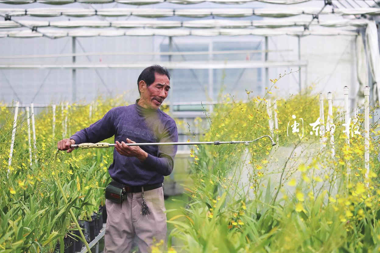 文旅融合带动区域经济发展,文旅融合发展视频