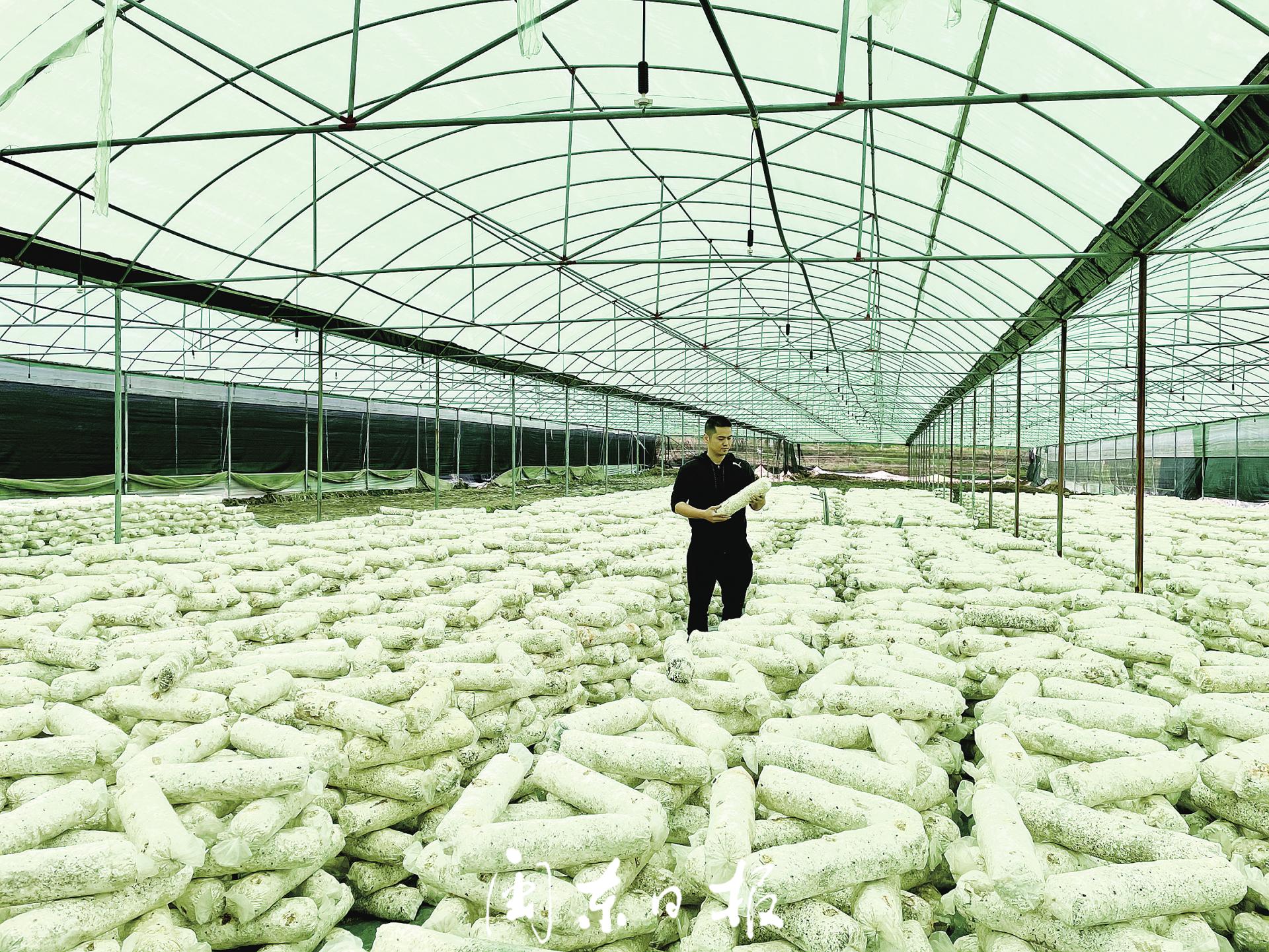 文旅融合带动区域经济发展,文旅融合发展视频