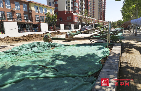 这就是山东淄博,这就是淄博宣传片