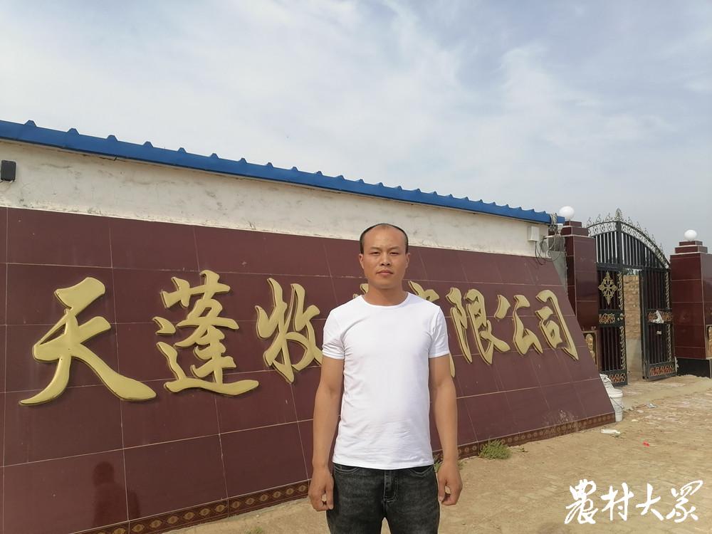 新希望养猪代养,新希望养猪农户代养模式