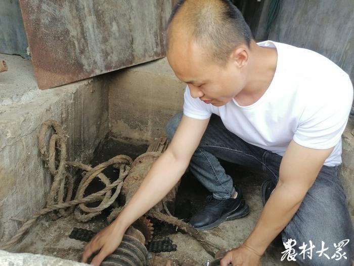 新希望养猪代养,新希望养猪农户代养模式