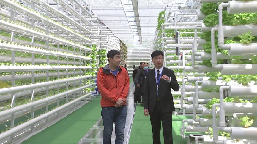 年收入1.6亿元！农展馆、菜园、度假村…这样的农业公园，你见过吗→