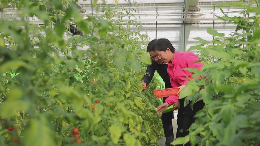 年收入1.6亿元！农展馆、菜园、度假村…这样的农业公园，你见过吗→