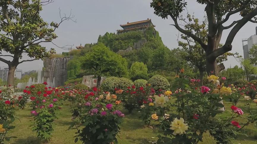 年收入1.6亿元！农展馆、菜园、度假村…这样的农业公园，你见过吗→