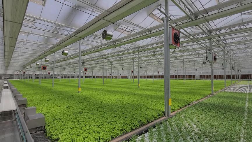 年收入1.6亿元！农展馆、菜园、度假村…这样的农业公园，你见过吗→