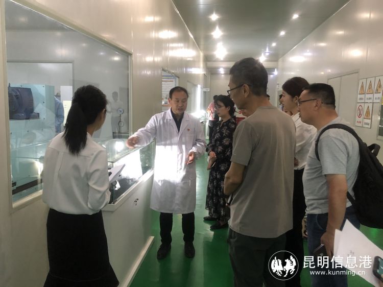 云南贵金属新材料控股集团怎么样,云南贵金属集团成立于哪里