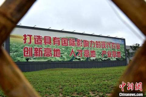 传承农耕文明助推乡村振兴,我县110万亩特色种植助力乡村振兴