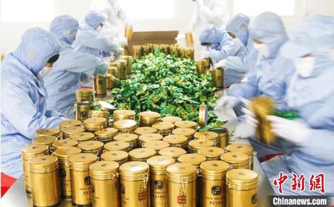 传承农耕文明助推乡村振兴,我县110万亩特色种植助力乡村振兴