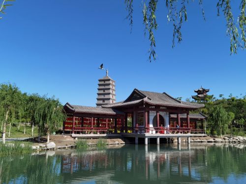 “一机游新和”：浙江丽水与*疆新**新和两地旅游资源互联共享