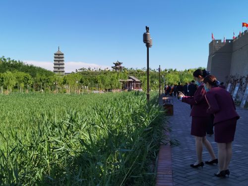 “一机游新和”：浙江丽水与*疆新**新和两地旅游资源互联共享