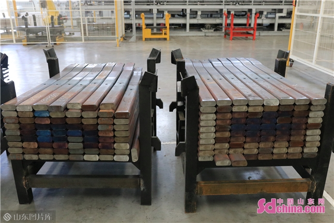 落实突破看外事①｜山东雷帕得与外籍专家一次特殊会面