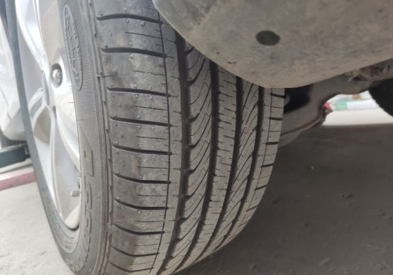 「迎暖春送积分」固特异安乘带我游览君乐宝牧场