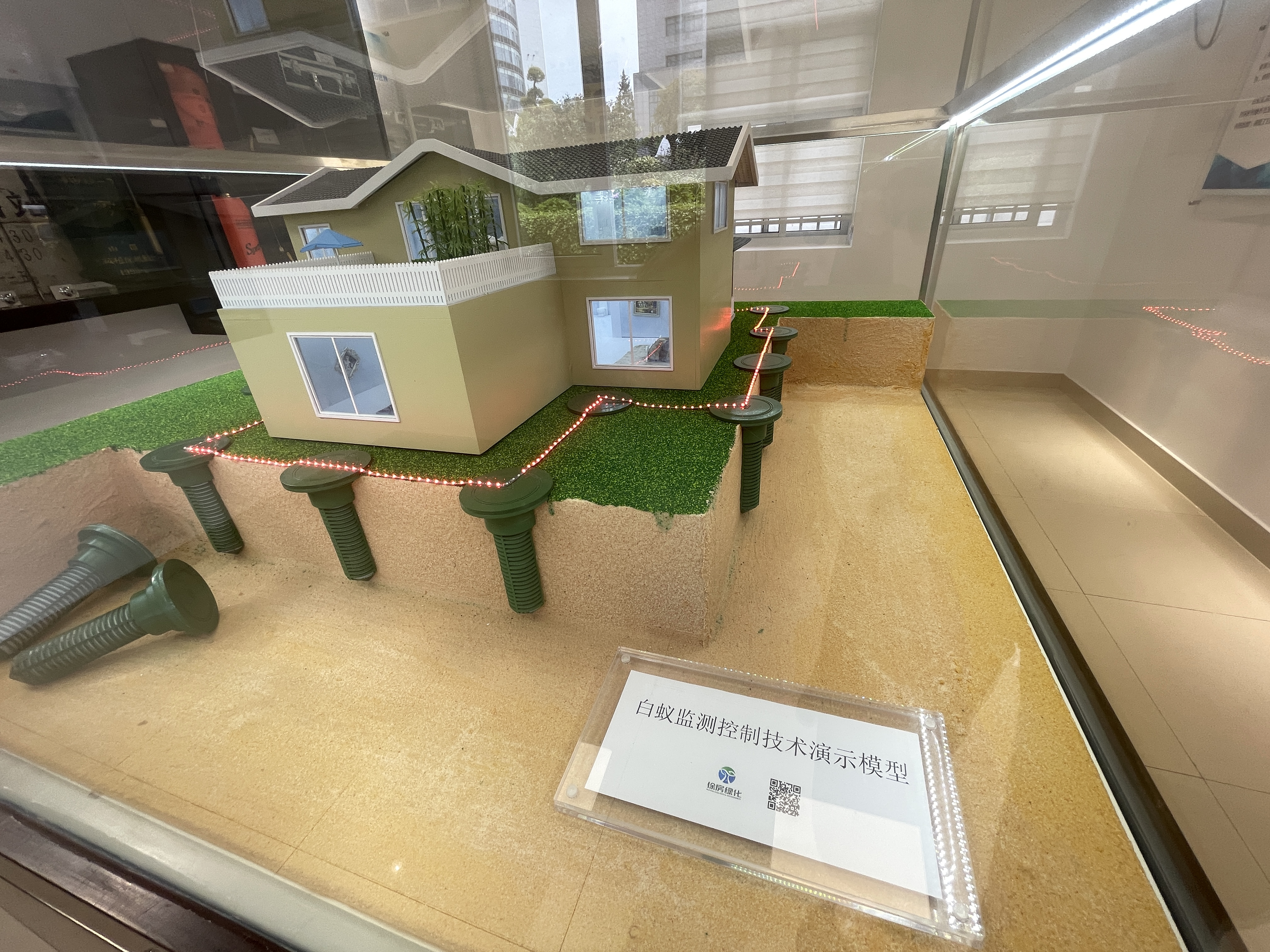 上海徐汇免费杀白蚁,上海白蚁