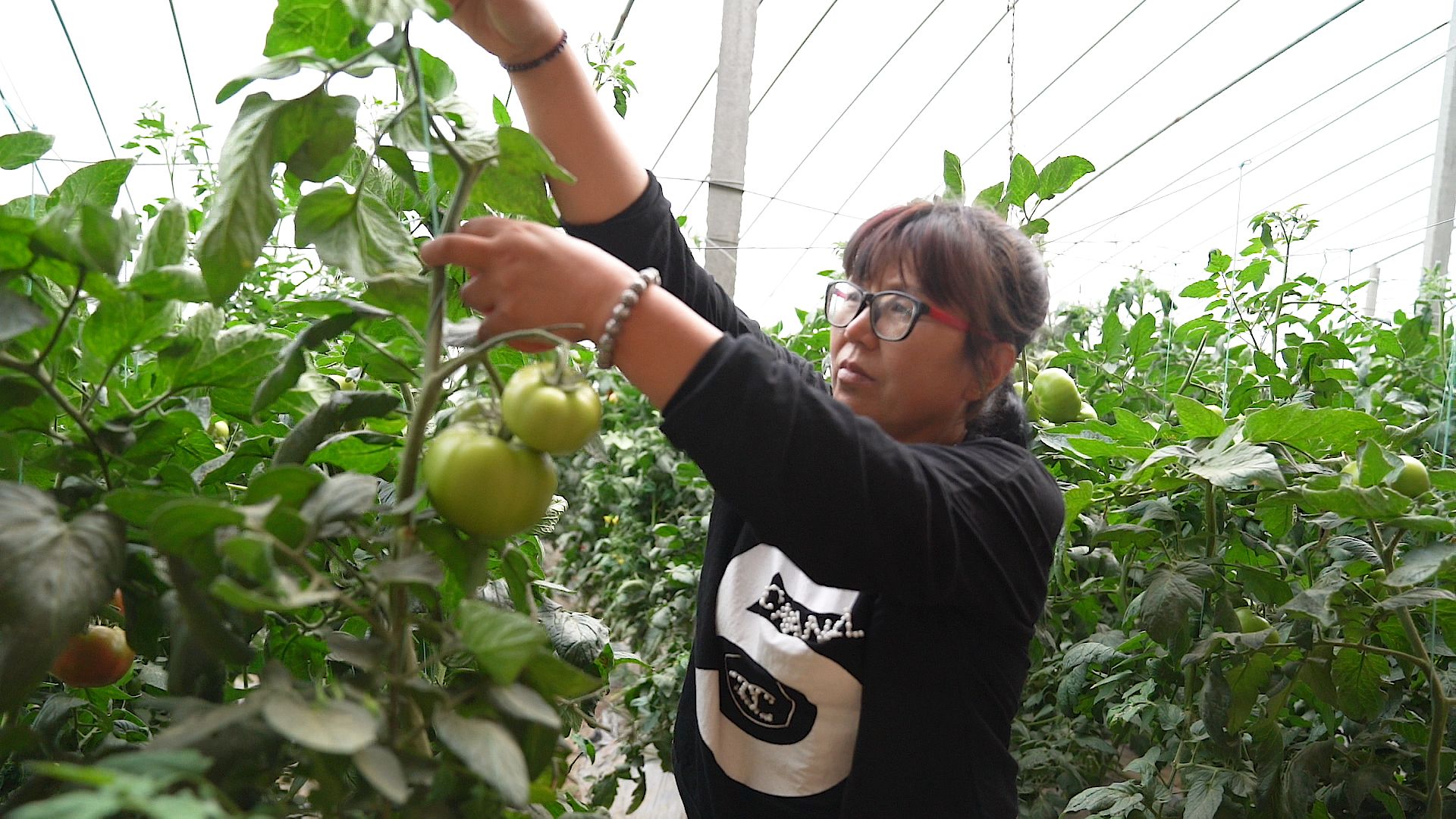 一贫如洗败家子翻身变成首富,一贫如洗变成了亿万富翁