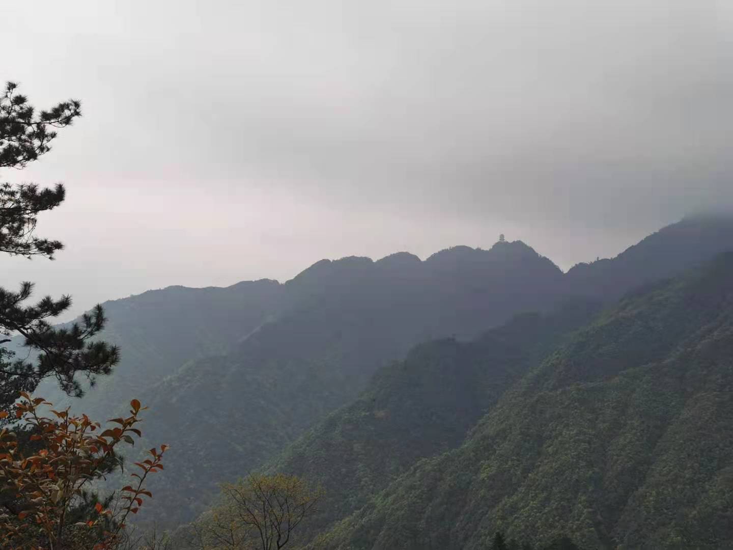 南岭探秘｜物之篇：它是世界地质与生态双珍宝，未来可期