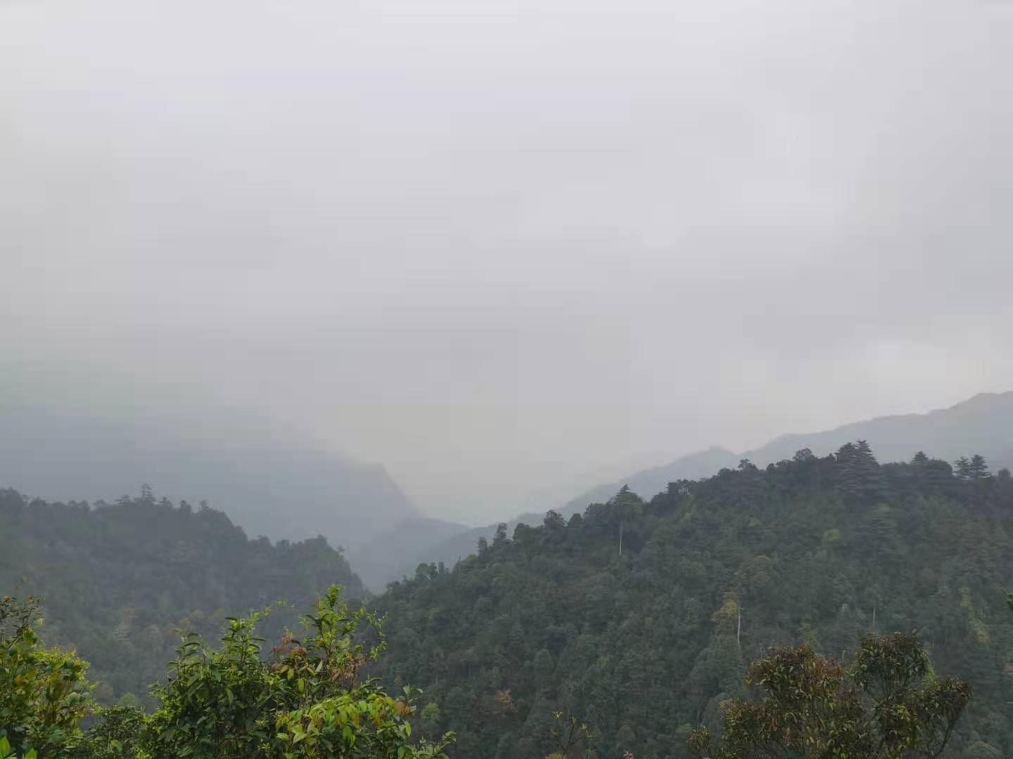南岭探秘｜物之篇：它是世界地质与生态双珍宝，未来可期