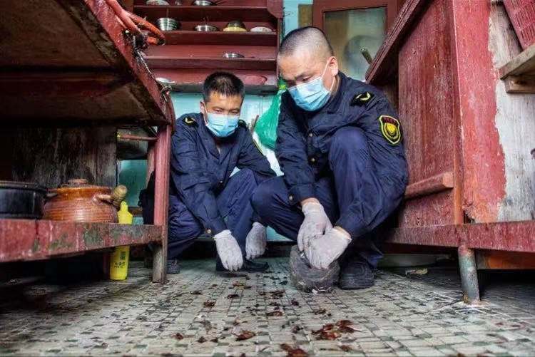 为7万多只虫子建档入库，中山这项研究获得省科技进步二等奖