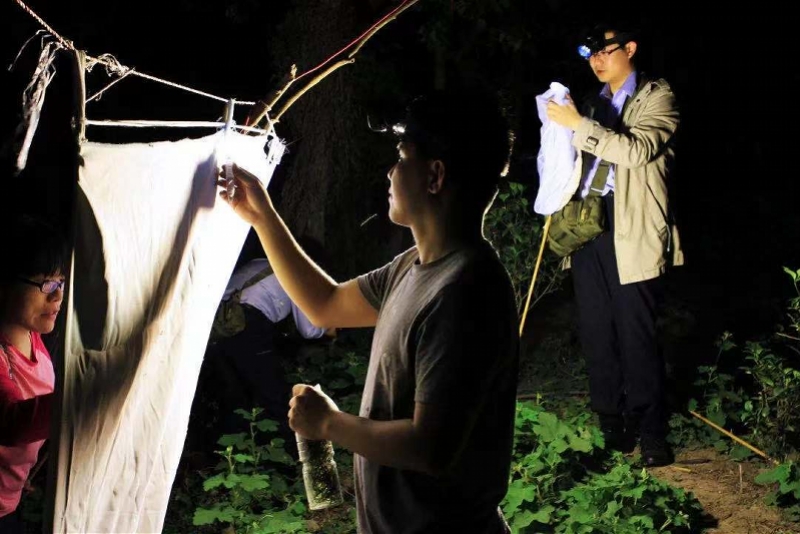 为7万多只虫子建档入库，中山这项研究获得省科技进步二等奖