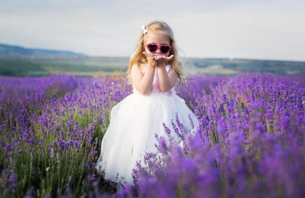 上海紫色花海熏衣草公园,上海最大的薰衣草