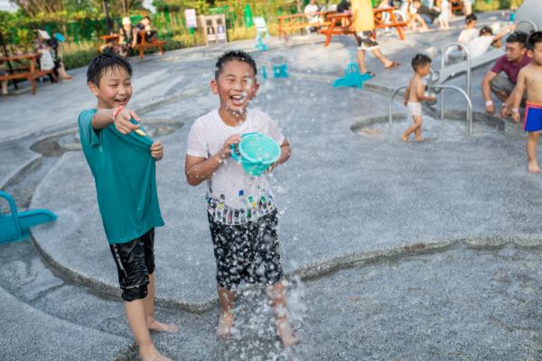 上海紫色花海熏衣草公园,上海最大的薰衣草
