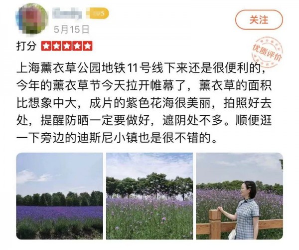 上海紫色花海熏衣草公园,上海最大的薰衣草