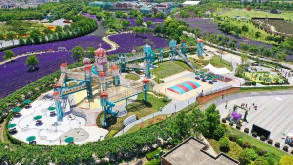 上海紫色花海熏衣草公园,上海最大的薰衣草