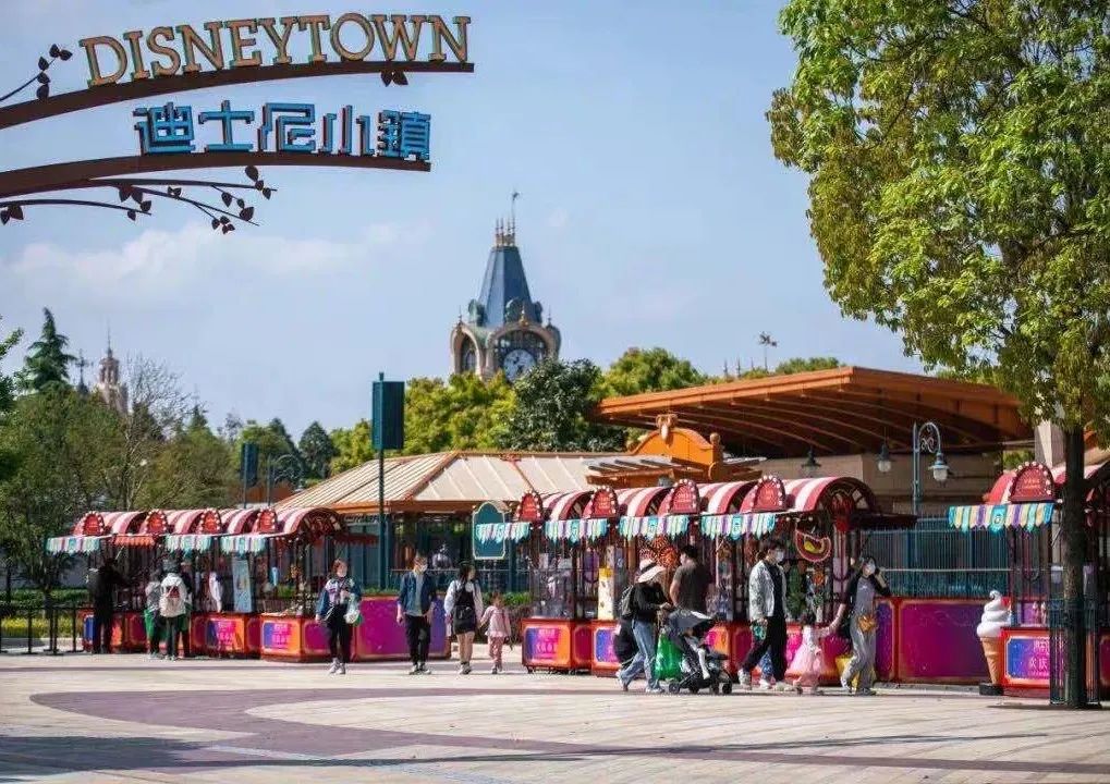 上海紫色花海熏衣草公园,上海最大的薰衣草