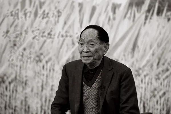 “杂交水稻之父”袁隆平逝世享年91岁