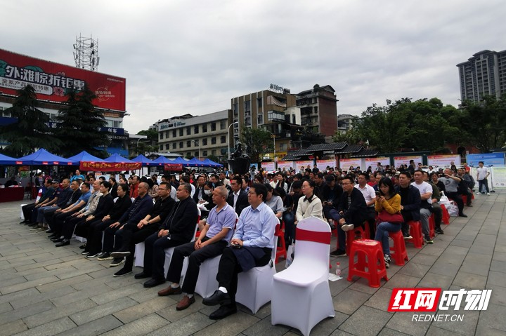 张家界市科技活动周,2020年张家界举办的活动