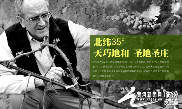 山西戎子酒庄有限公司是国企吗,山西戎子酒庄官方旗舰店