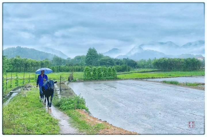 专业摄影师驾到,摄影师驾到统统闪开
