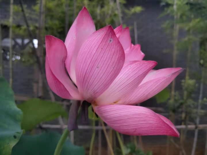 专业摄影师驾到,摄影师驾到统统闪开