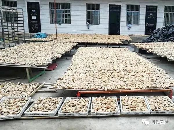 丹凤：村美民富*庄大**村