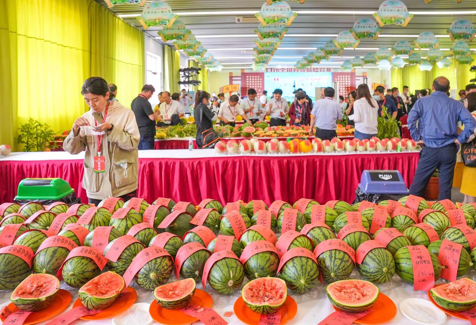 全国西瓜大兴“打擂”，庞各庄189斤大西瓜问鼎“瓜王”