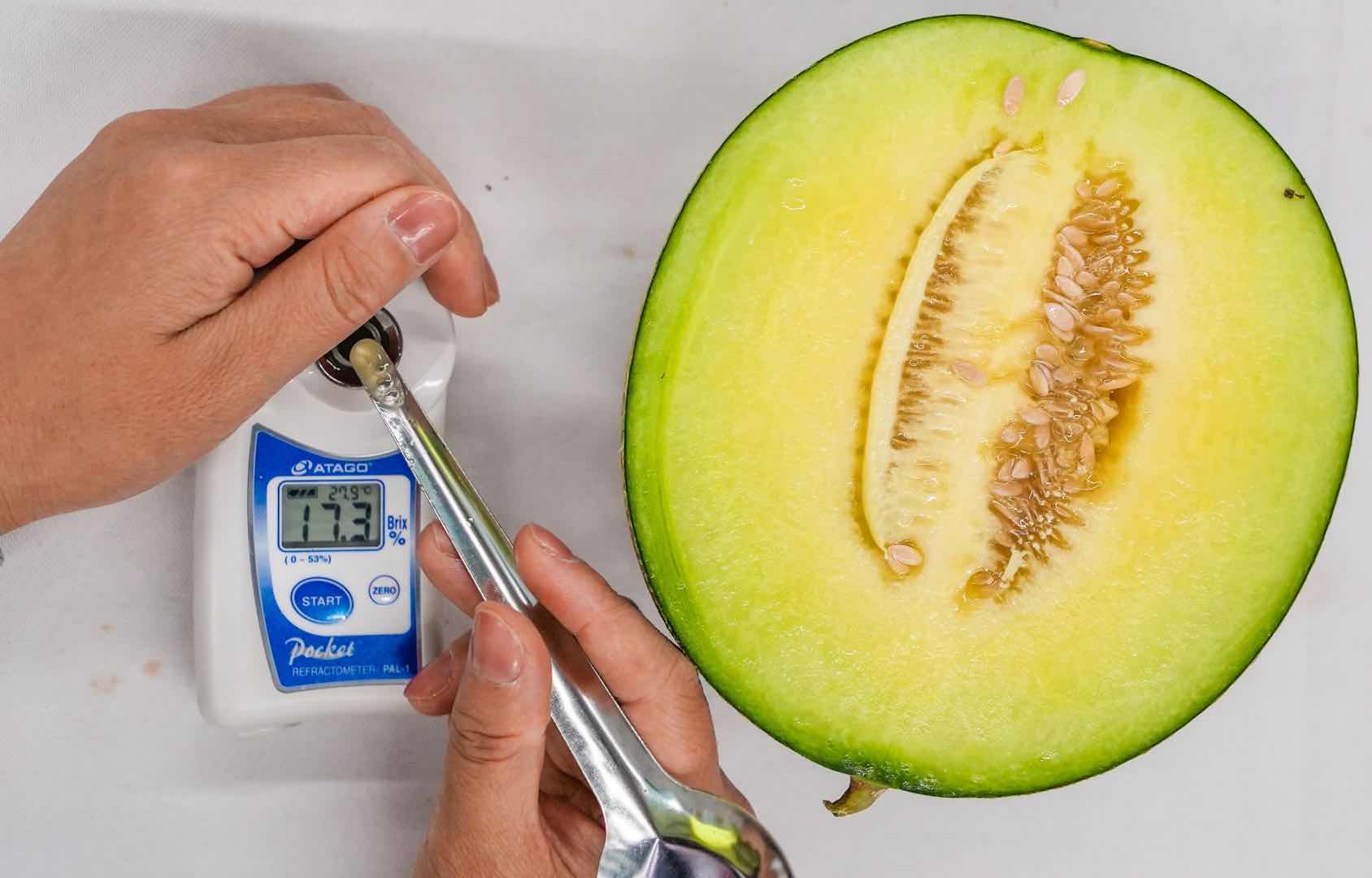 全国西瓜大兴“打擂”，庞各庄189斤大西瓜问鼎“瓜王”