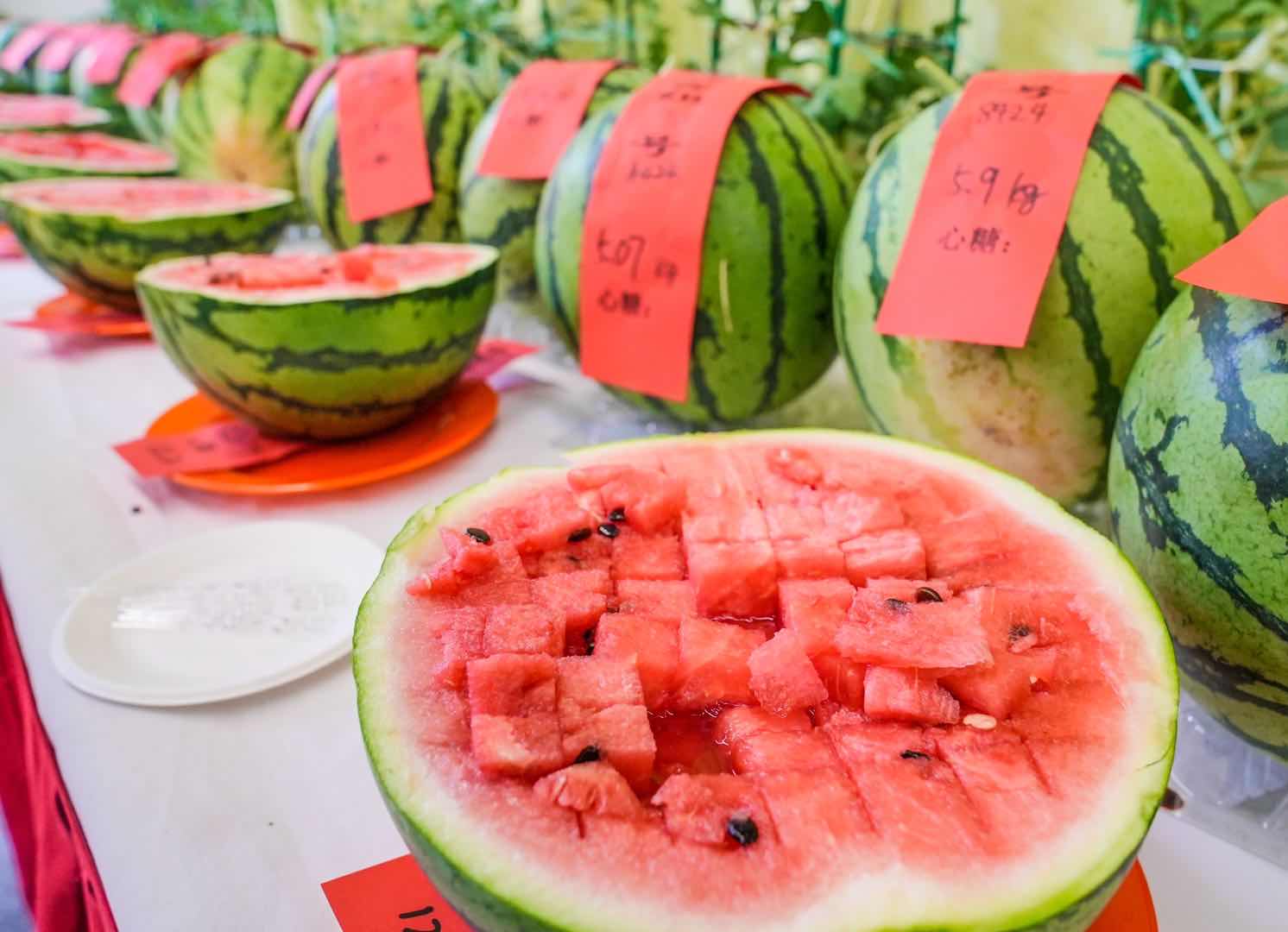 全国西瓜大兴“打擂”，庞各庄189斤大西瓜问鼎“瓜王”