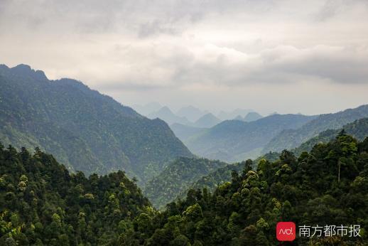 粤港澳大湾区绿色发展保护生态,广东省南岭生态特别保护区