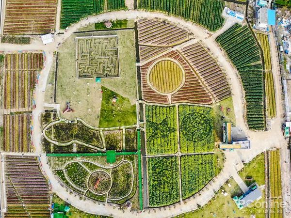 新手入门航拍怎么选,航拍无人机入门选购