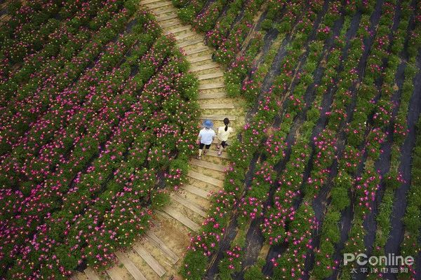 新手入门航拍怎么选,航拍无人机入门选购