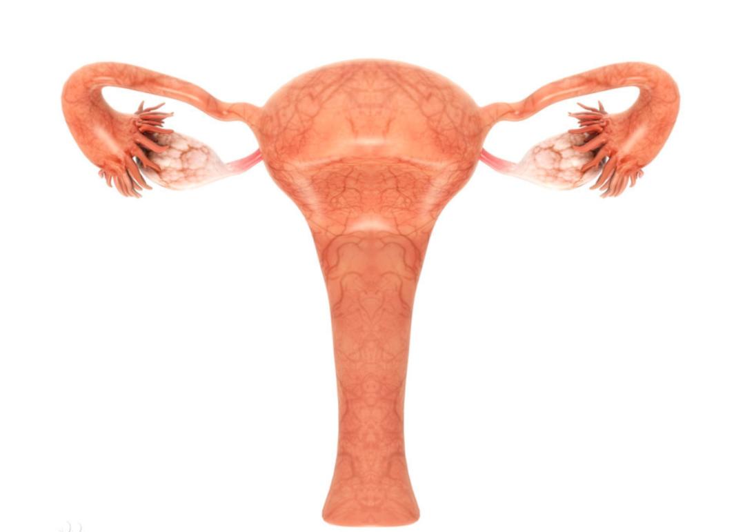 月经量少一星期才干净正常吗,月经量少一天就完了吃什么药调理